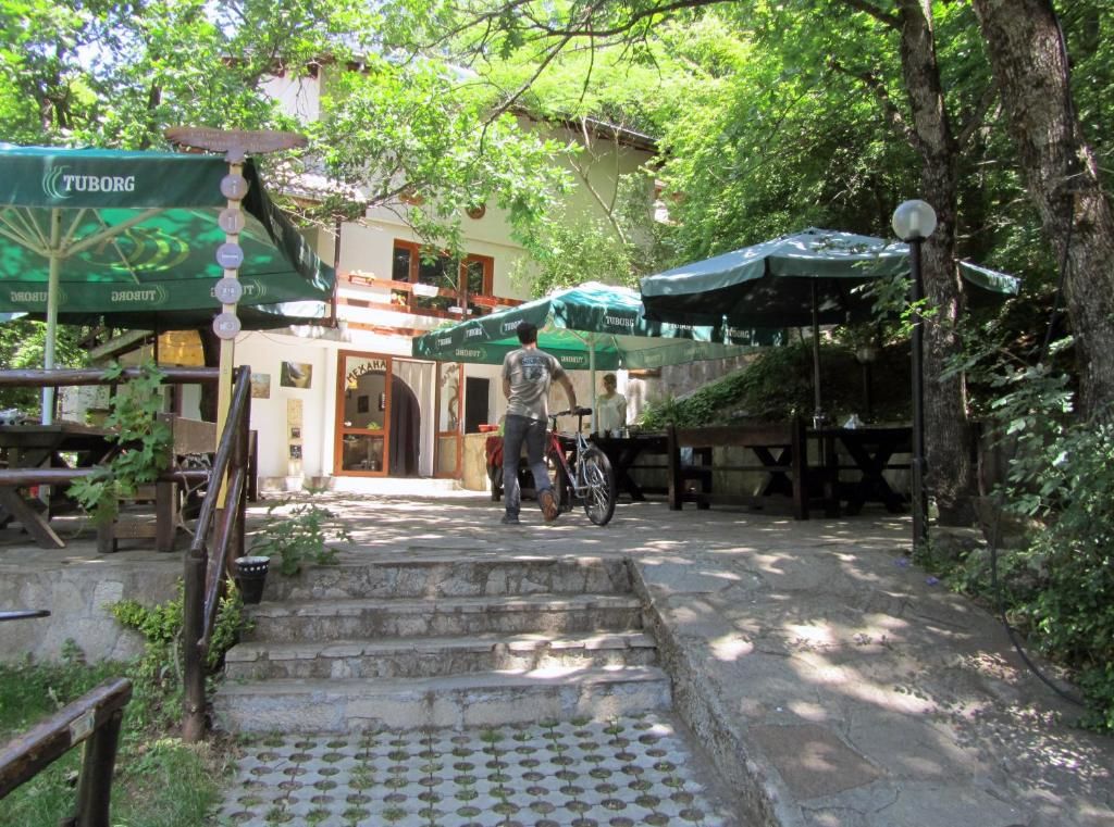 Лоджи Vulture Centre Eastern Rhodopes Madzharovo